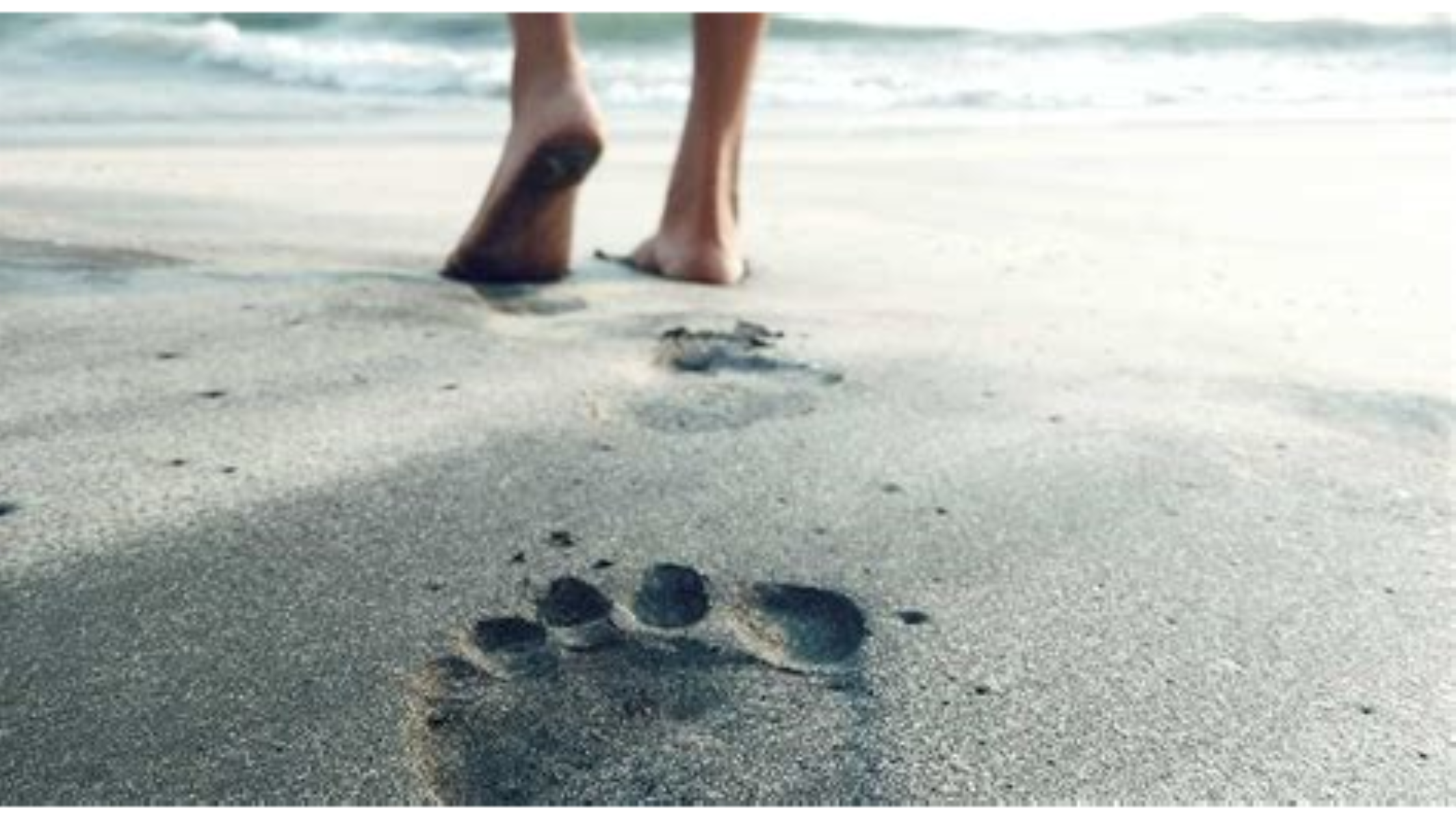 How Does Grounding Improve Circulation?