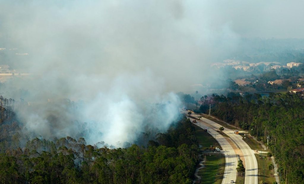 Fire, Smoke, and the Air We Breathe: What House of the Dragon Can Teach Us About Indoor Air Quality 3 image 2