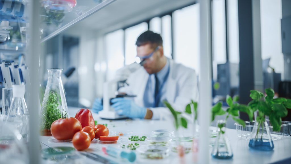 food scientist medical lab
