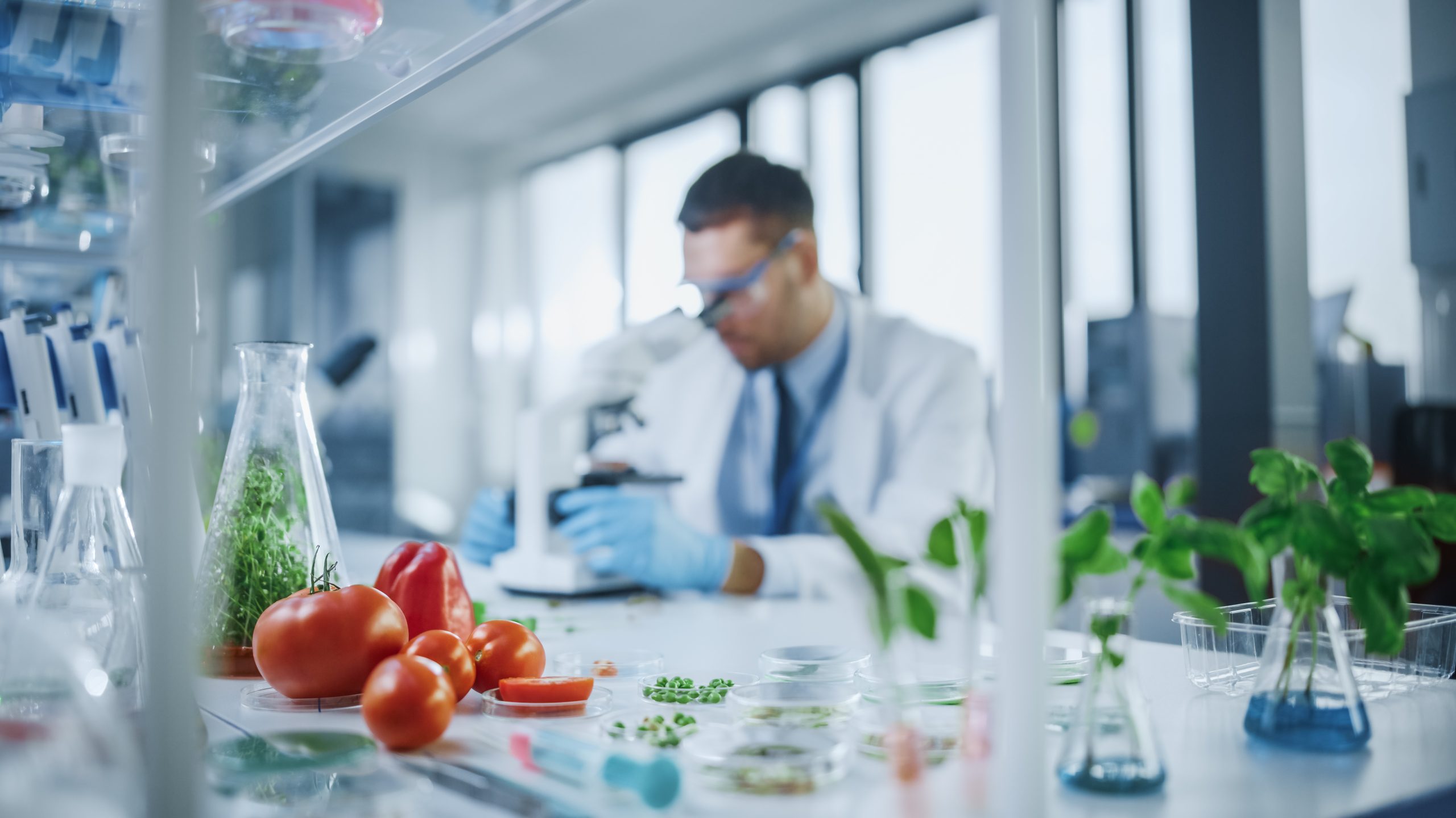 7 Health Myths People Still Believe 3 food scientist medical lab scaled